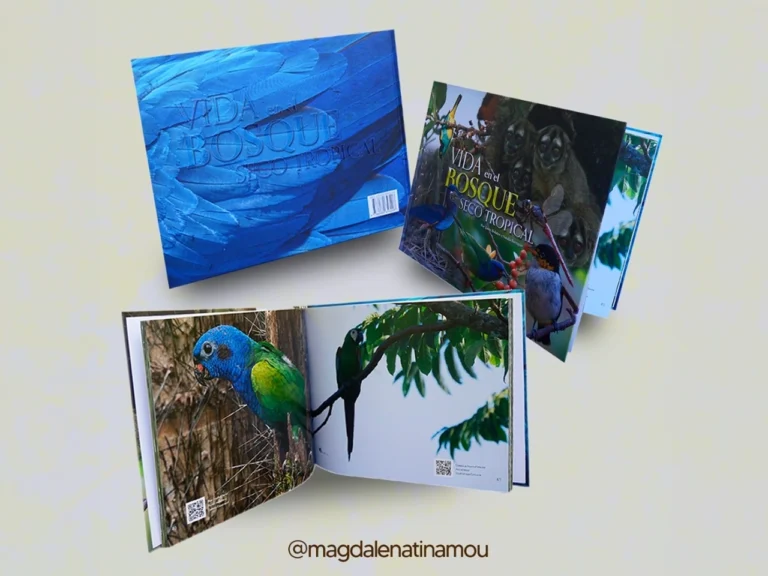 Home libro 2
