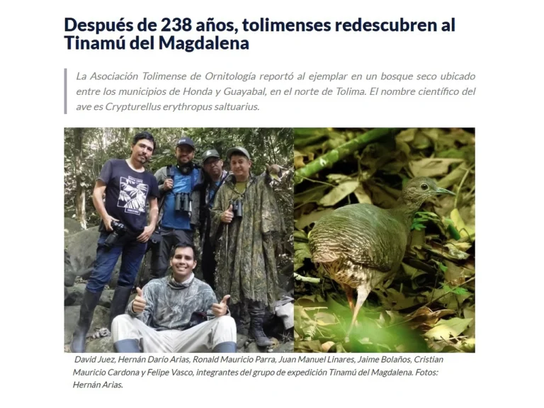 Home redescubrimiento